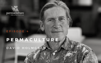Permaculture with David Holmgren