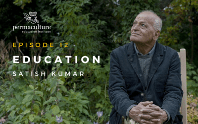 Education with Satish Kumar