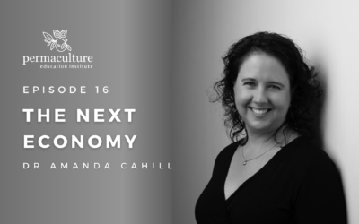 The Next Economy with Dr Amanda Cahill