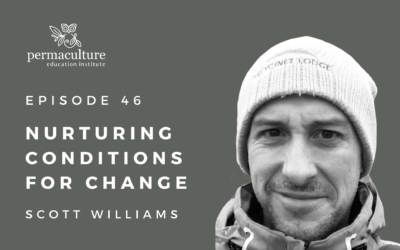 Episode 46: Nurturing Conditions for Change with Scott Williams