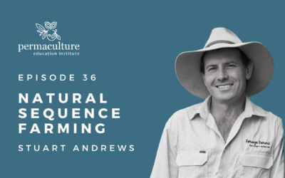 Natural Sequence Farming with Stuart Andrews