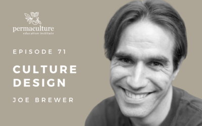 Culture Design with Joe Brewer and Morag Gamble