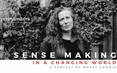 Episode 1: Welcome to Sense-Making in a Changing World