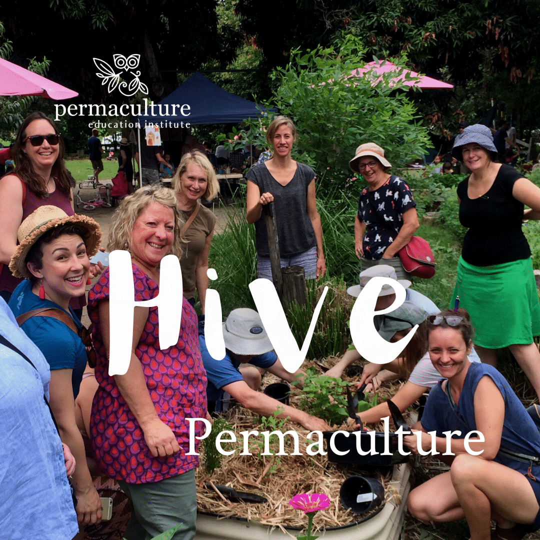Hive permaculture