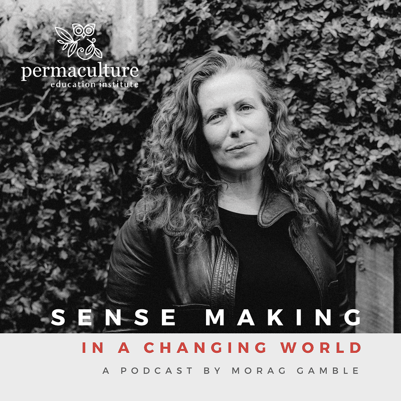 Listen to the Sense-Making in a Changing World podcast