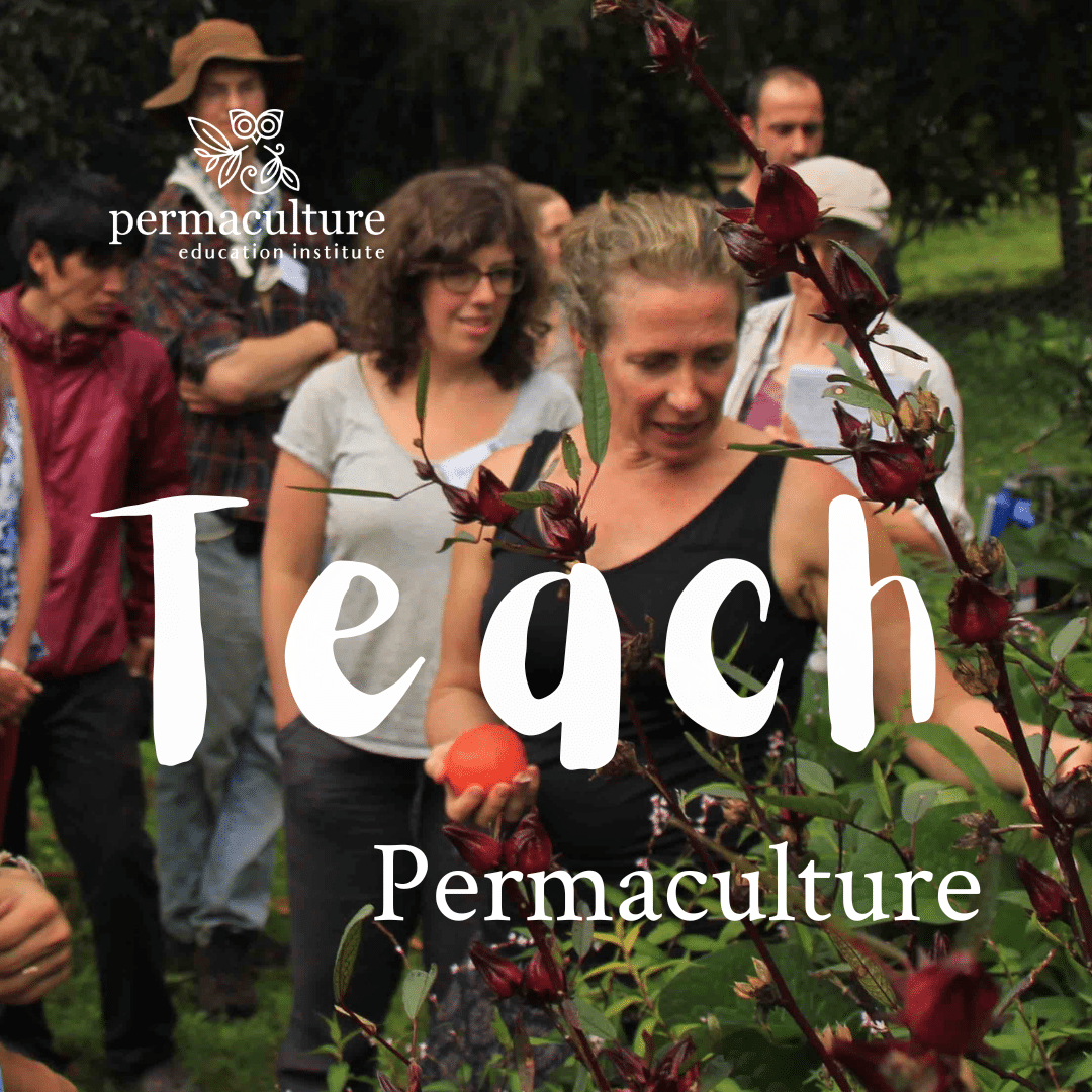 Teach permaculture