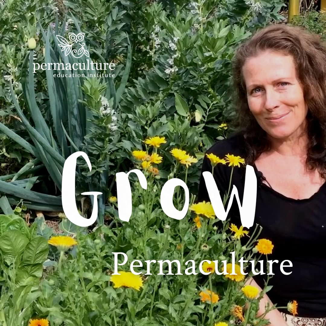 Grow permaculture