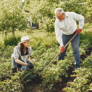 Community gardening