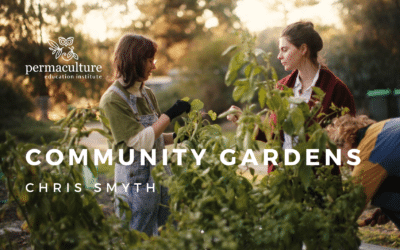Community Gardens with Chris Smyth