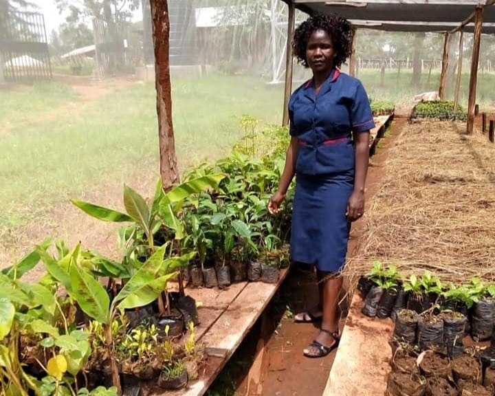 Growing food at SHWARI