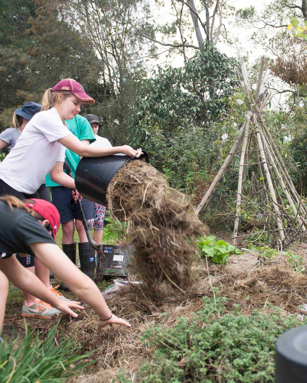 Study your Permaculture Design Certificate with the Permaculture Education Institute