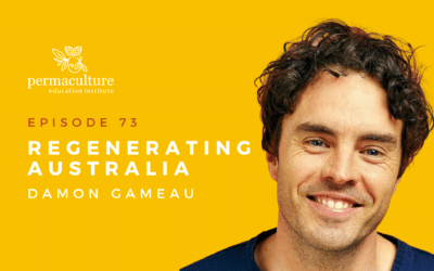 Regenerating Australia with Damon Gameau