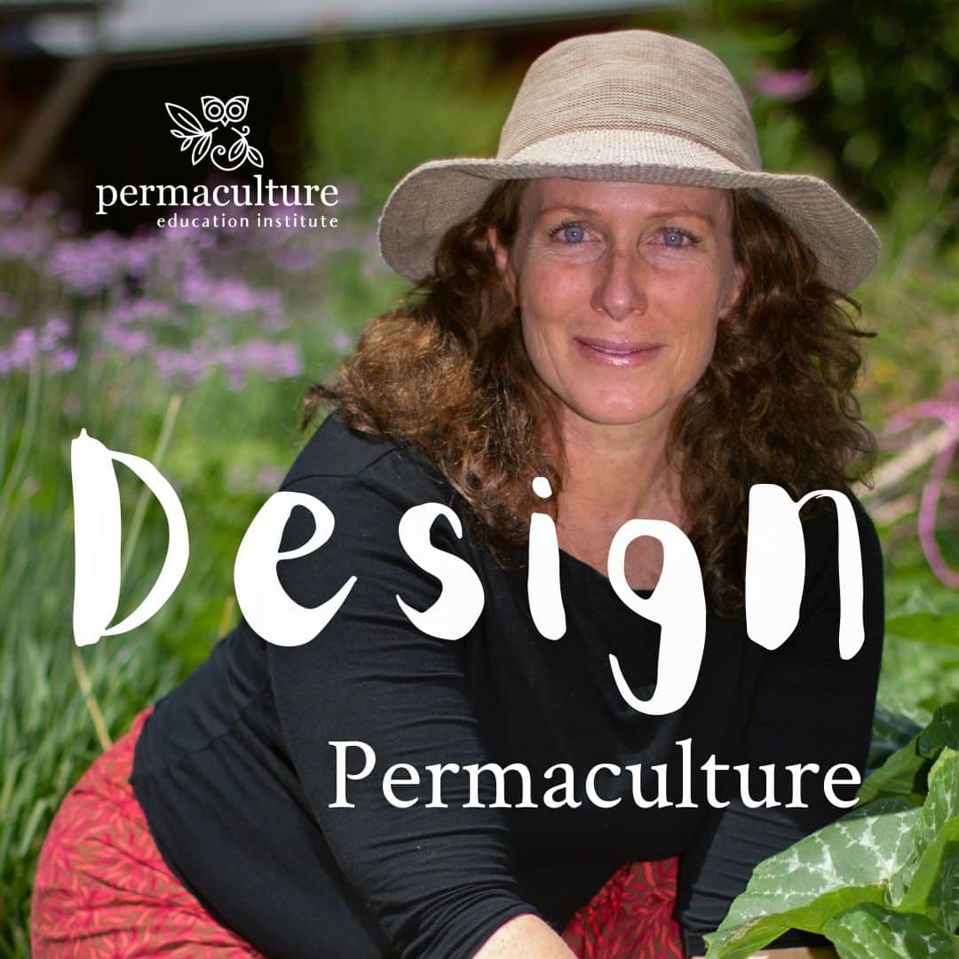 Design Permaculture course