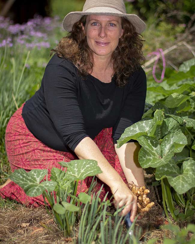 7 Edible Flower Seeds to Sow Now and Brighten Your Garden (& Salad Bowl)  This Summer - Permacultured Life