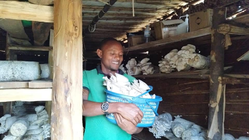 Bemeriki in his mushroom farm