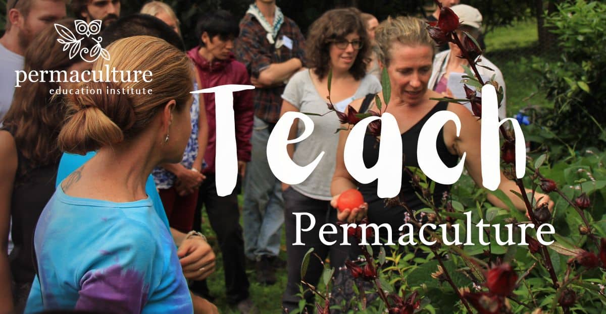 Morag Gamble's 5-Week Permaculture Teacher Cert: Enroll Now!