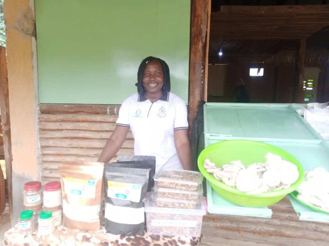 Successful mushroom farming in Uganda