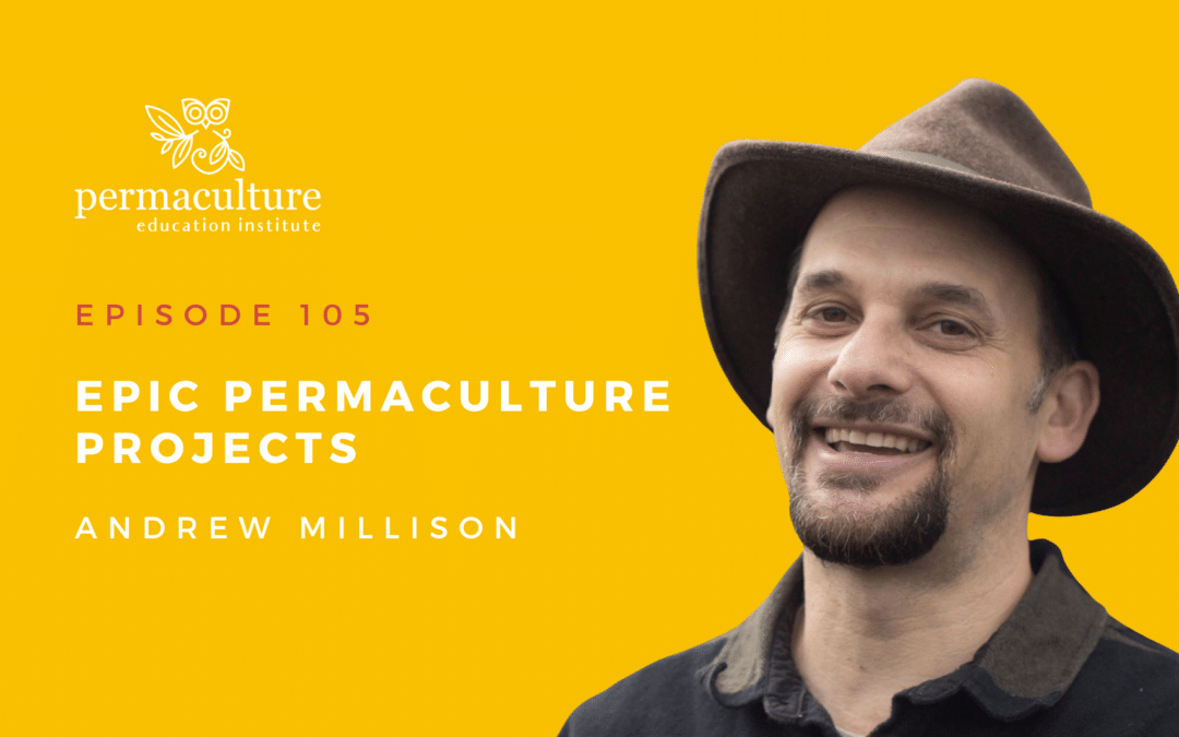 Epic Permaculture Projects with Andrew Millison