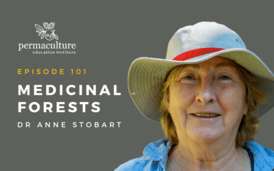 The Medicinal Forest with Dr Anne Stobart