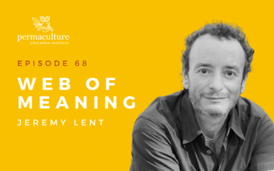 The Web of Meaning with Jeremy Lent