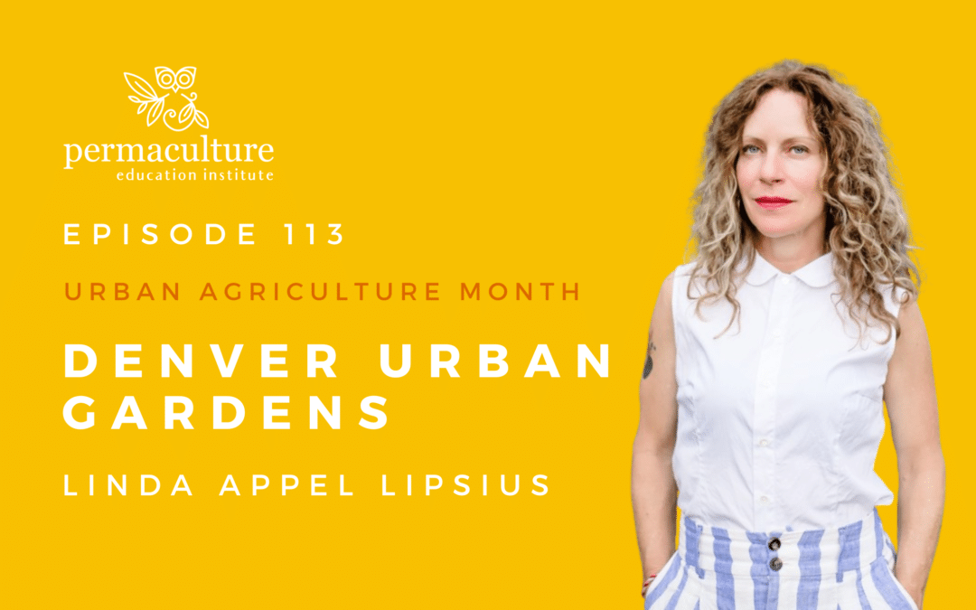 Denver Urban Gardens with Linda Appel Lipsius