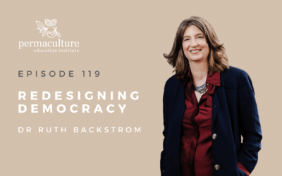 Redesigning Democracy with Dr Ruth Backstrom
