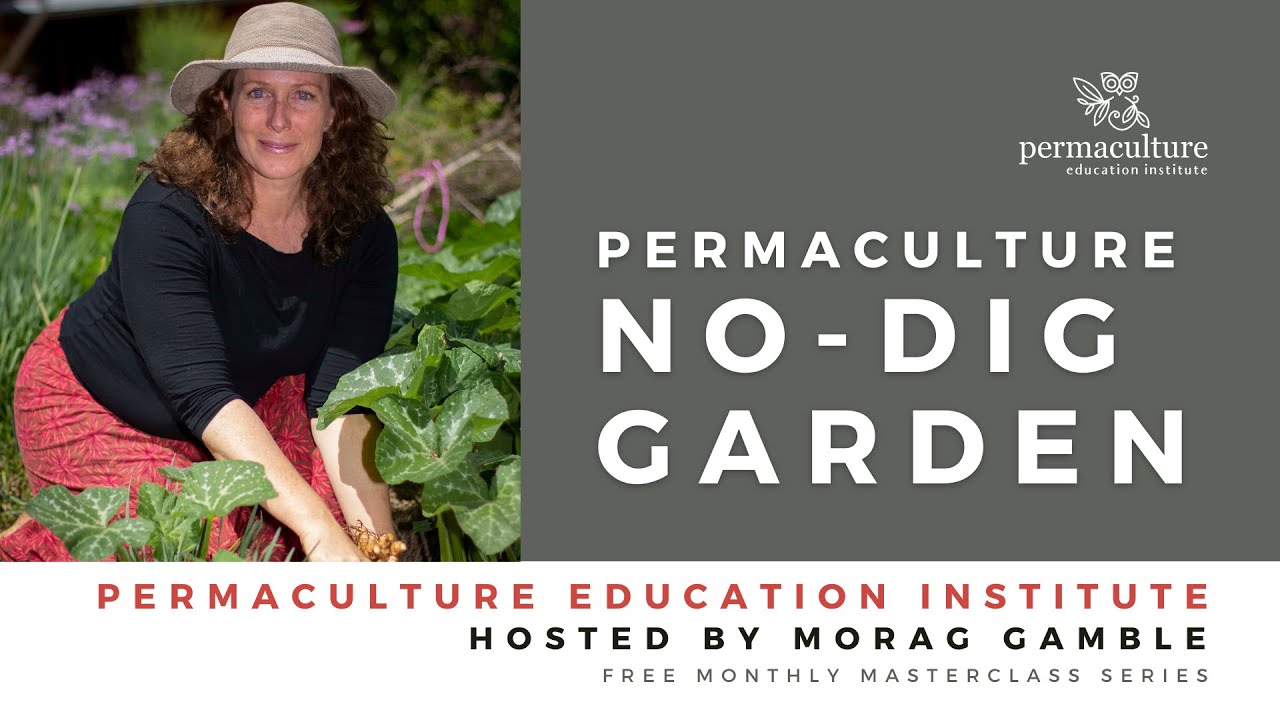 Masterclass - no-dig permaculture garden