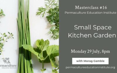 How to Grow a Small-Space Kitchen Garden, the Permaculture Way