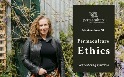 What are Permaculture Ethics?
