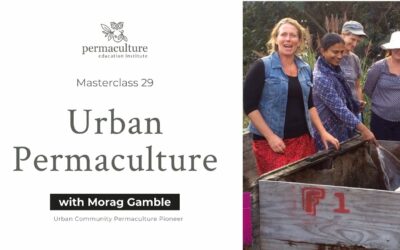 What is Urban Permaculture?