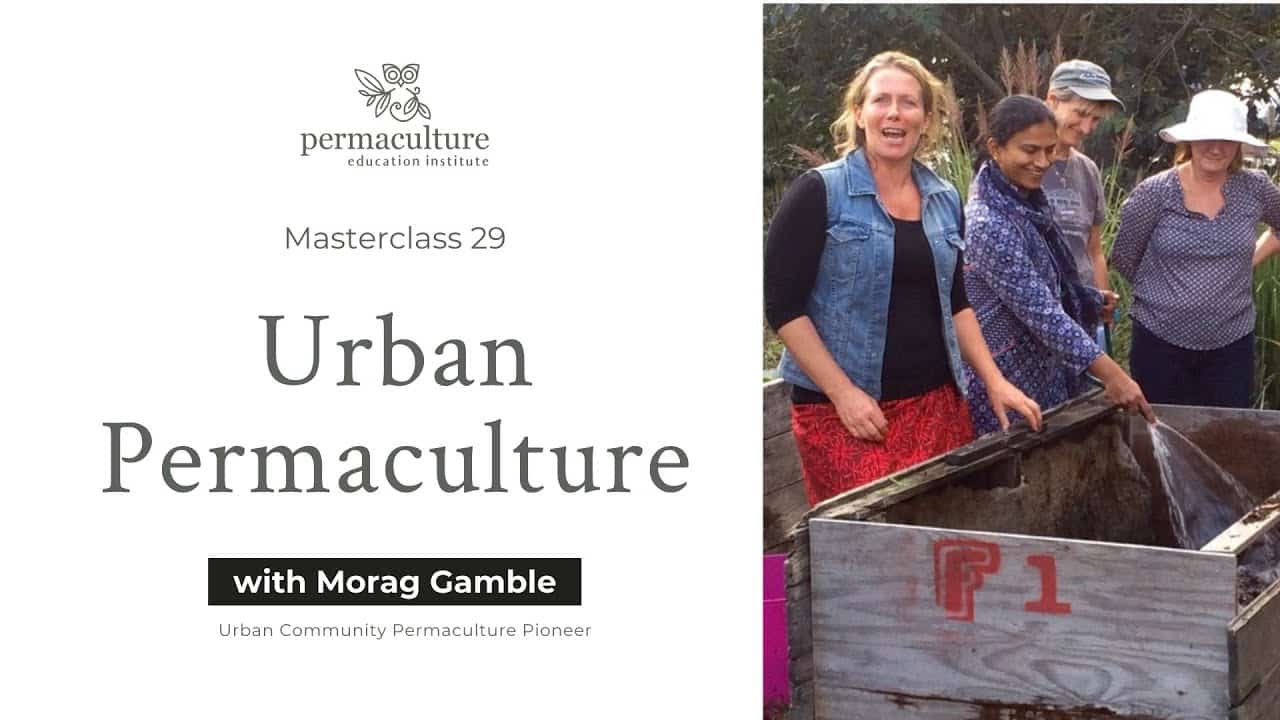 What is urban permaculture