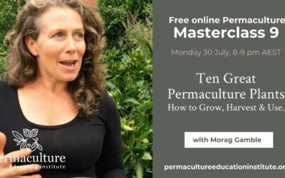 Top 10 Permaculture Plants: How to Grow, Harvest & Use