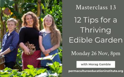 12 Tips for a Thriving Edible Garden