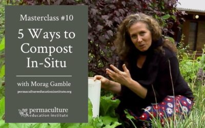 5 Simple Ways to Compost ‘In-Situ’ in Your Permaculture Garden
