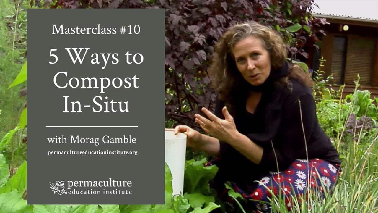 5 Ways to Compost In-Situ