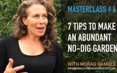 7 Tips to Make an Abundant No-Dig Garden