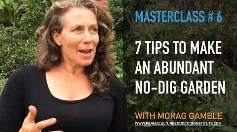 7 tips to make an abundant no-dig garden