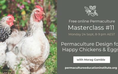 Permaculture Design for Happy Chickens and Eggs
