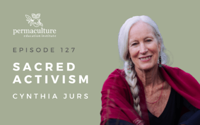 Sacred Activism with Cynthia Jurs