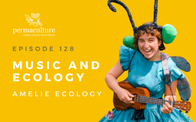 Music and Ecology with Amelie Ecology