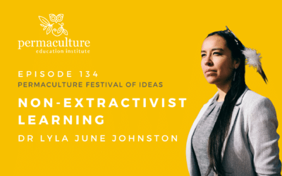 Non-Extractivist Learning with Lyla Jone Johnston