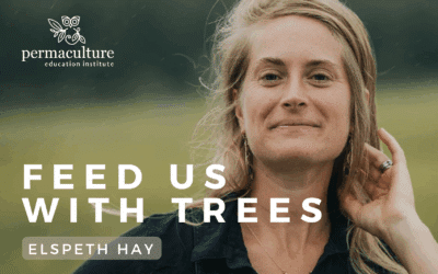 Feed us with Trees. Elspeth Hay and Morag Gamble