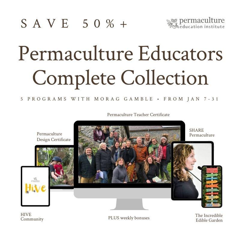Morag Gamble's 44-Module Permaculture Educator Program