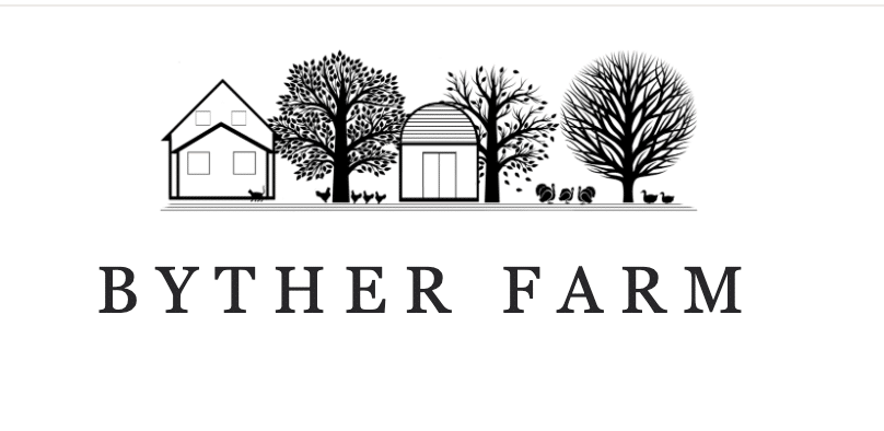 Futuresteading podcast