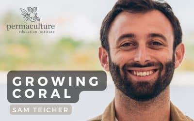 Growing Coral and Building a Restoration Economy with Sam Teicher (Coral Vita) & Morag Gamble