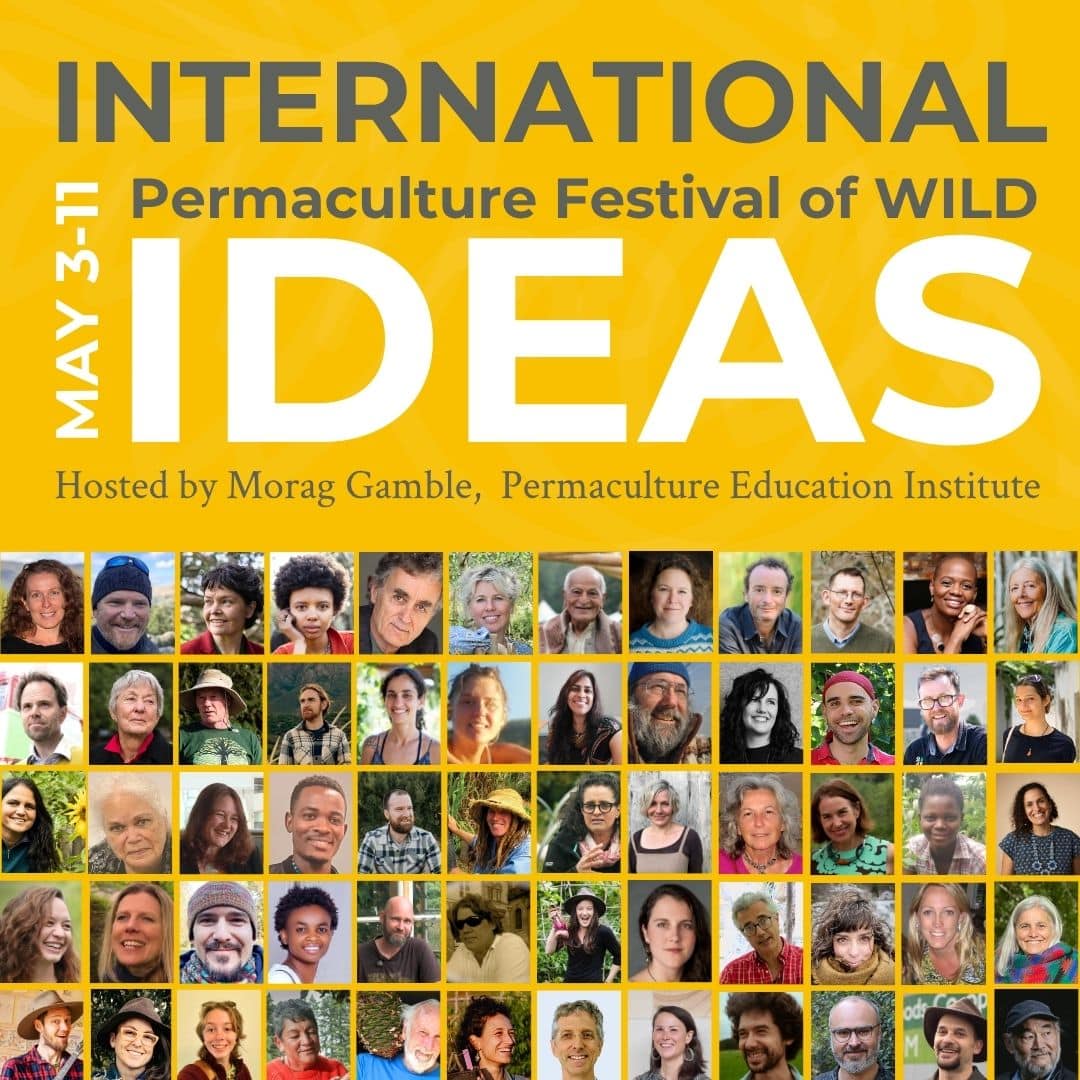 International festival of wild and kind ideas 2026 image square